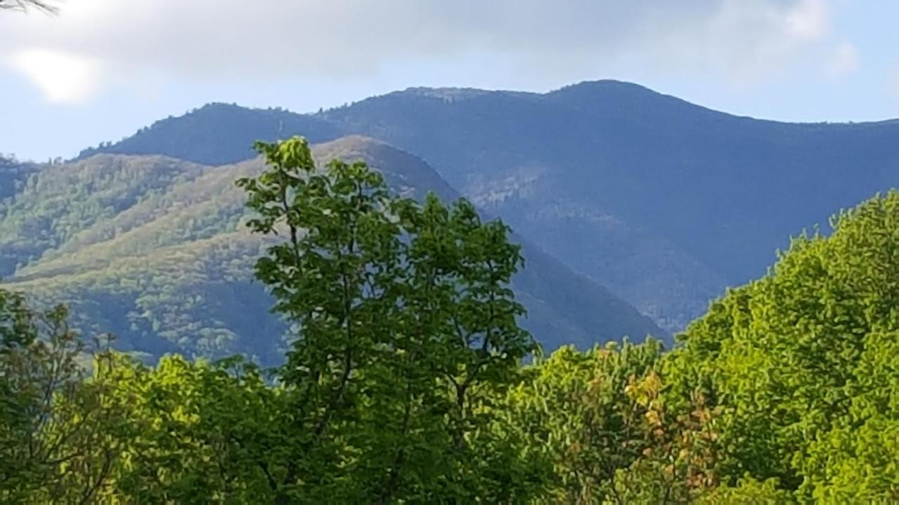 Mountain Serenity Gatlinburg Dış mekan fotoğraf